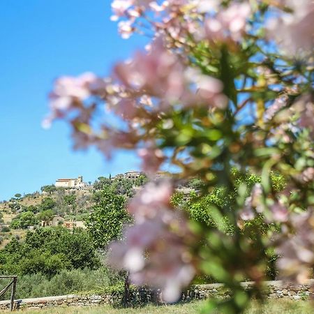 B&B La Residenza Torchiara Dış mekan fotoğraf