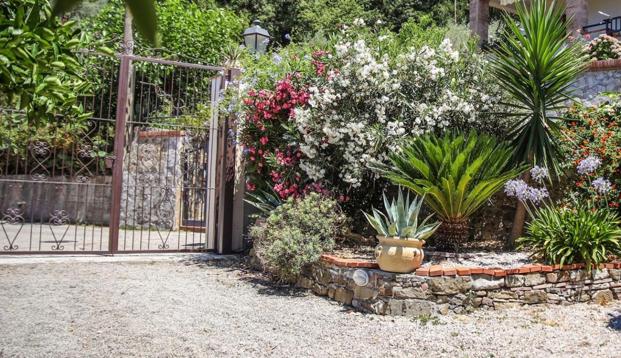 B&B La Residenza Torchiara Dış mekan fotoğraf