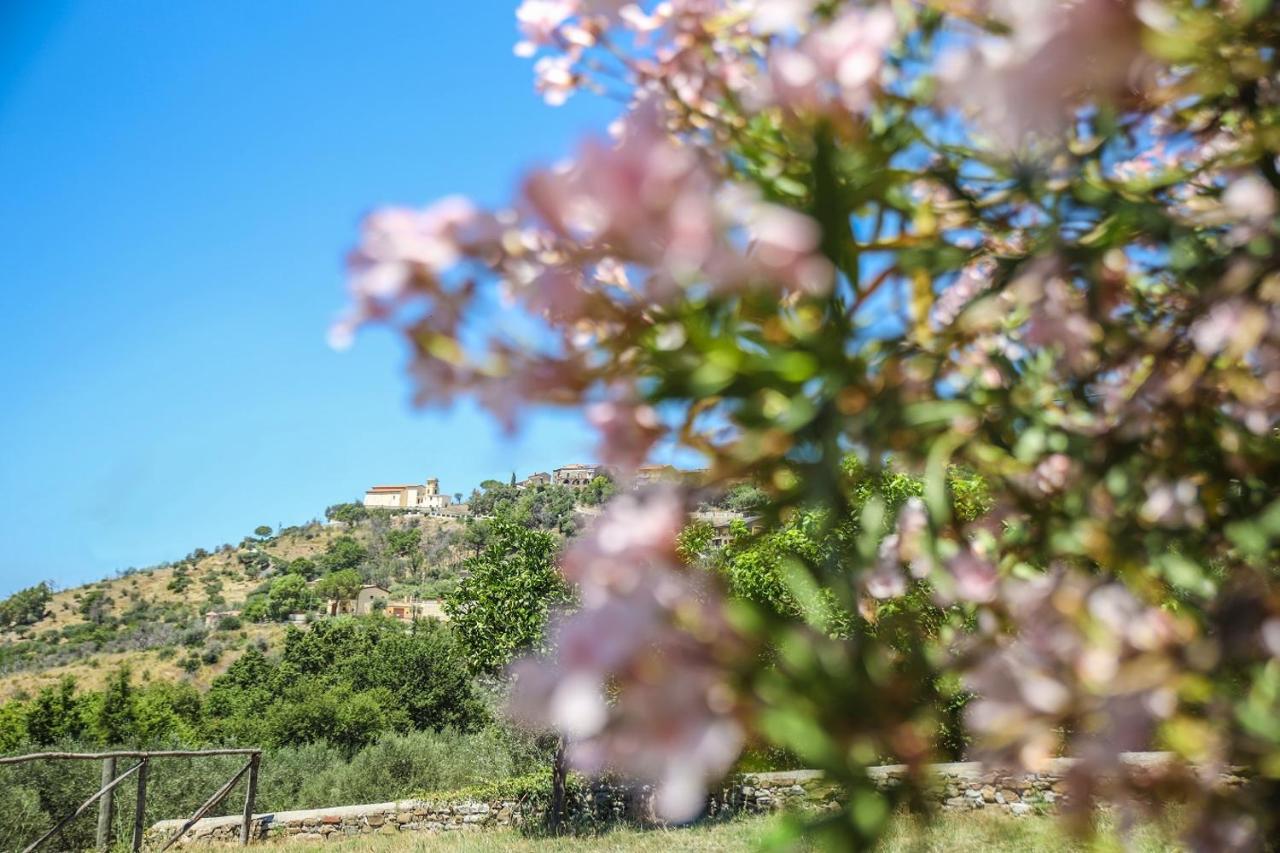B&B La Residenza Torchiara Dış mekan fotoğraf