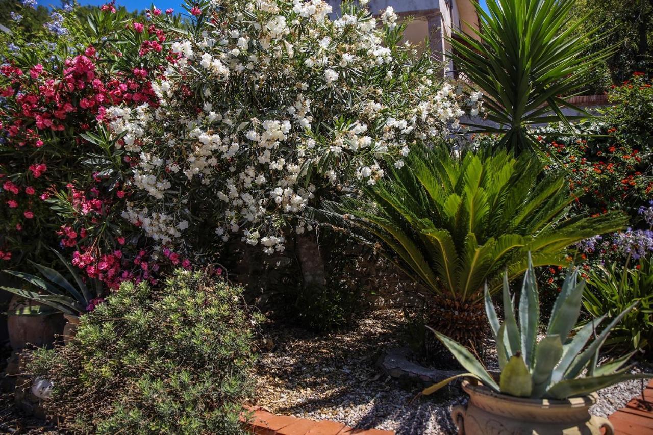 B&B La Residenza Torchiara Dış mekan fotoğraf