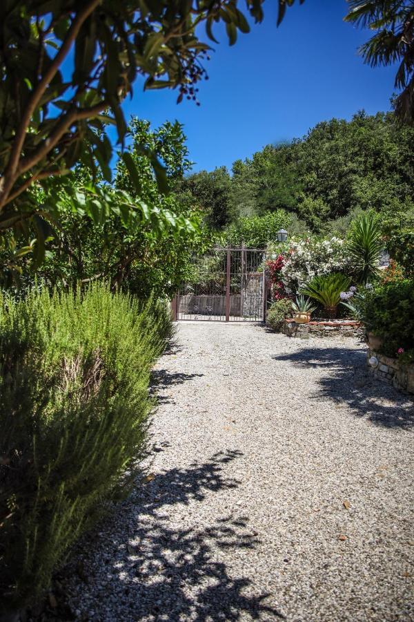B&B La Residenza Torchiara Dış mekan fotoğraf